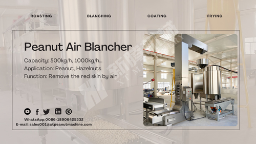 Latest company news about Máquina de blanqueo de cacahuetes por aire --Una nueva opción para la industria de blanqueo de cacahuetes