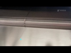 Oven de tipo cinturón continuo 300 kg/h Calentador eléctrico de nueces