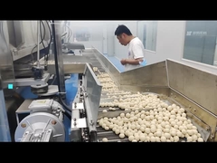 Oscilación revestido eléctrico Oven Coated Peanut Roastr 100KG/h del cacahuete