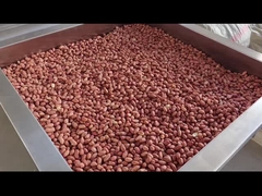 Control de PLC Nueces continuas Horno Nueces continuas tostador secador / tostador