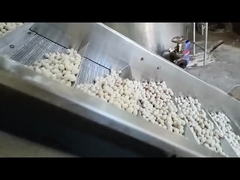 Máquina para freír de forma continua