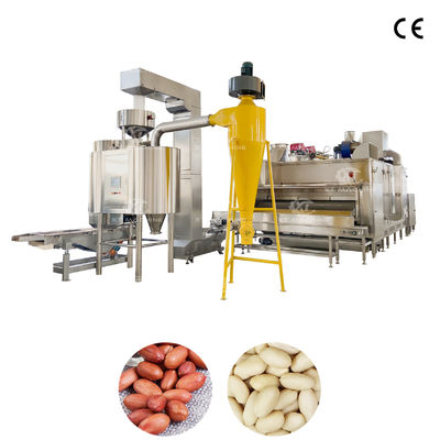 Un buen precio. Máquina de blanqueo de cacahuetes, avellanas y pistachos de acero inoxidable de 500 kg/h con control PLC para una pelada eficiente en línea