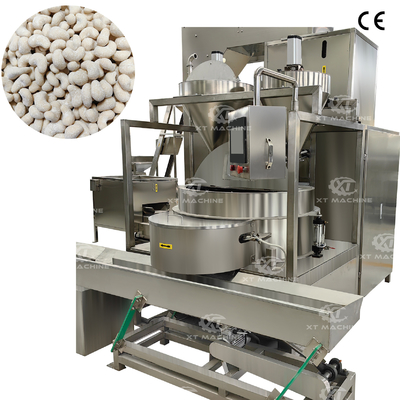 250-300 kg/h Máquina automática de recubrimiento de cacahuetes Máquina de recubrimiento de anacardos