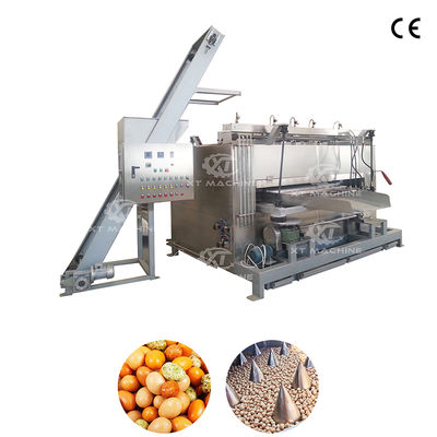 Máquina tostadora oscilante de frutos secos con capacidad de 50-100 kg/h, horno para cacahuetes con construcción de acero inoxidable 304
