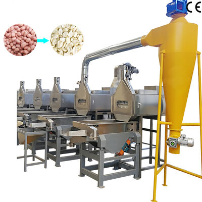 Un buen precio. 500-1000 kg/h SUS304 Máquina de blanqueo de cacahuetes dividida Máquina de pelar cacahuetes para el procesamiento de nueces en línea