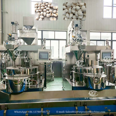 Un buen precio. Línea de producción de recubrimiento y fritura de cacahuetes SUS304 totalmente automática con 500-1000 kg/h para plantas de procesamiento de nueces en línea