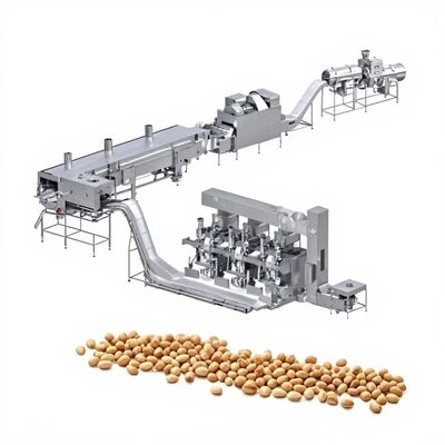 1000kg/h Capacity PLC Control Stainless Steel Peanut Frying Machine for Coated Peanut Processing Plant