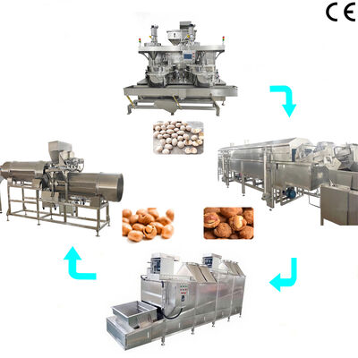 Máquina freidora con recubrimiento para alimentos de snacks industriales Línea de producción de recubrimiento y fritura de frutos secos sazonados de alta producción