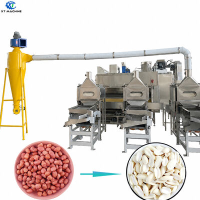 Un buen precio. Máquina de corte y blanqueo de cacahuetes SUS304 de alta calidad de 1000 kg/h a 2000 kg/h para equipos de procesamiento de nueces en línea