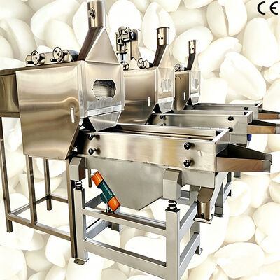 Máquina blanqueadora de granos de maní dividido Máquina cortadora y blanqueadora de maní de alta precisión para procesamiento de maní